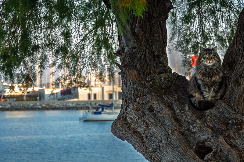 Bodrum