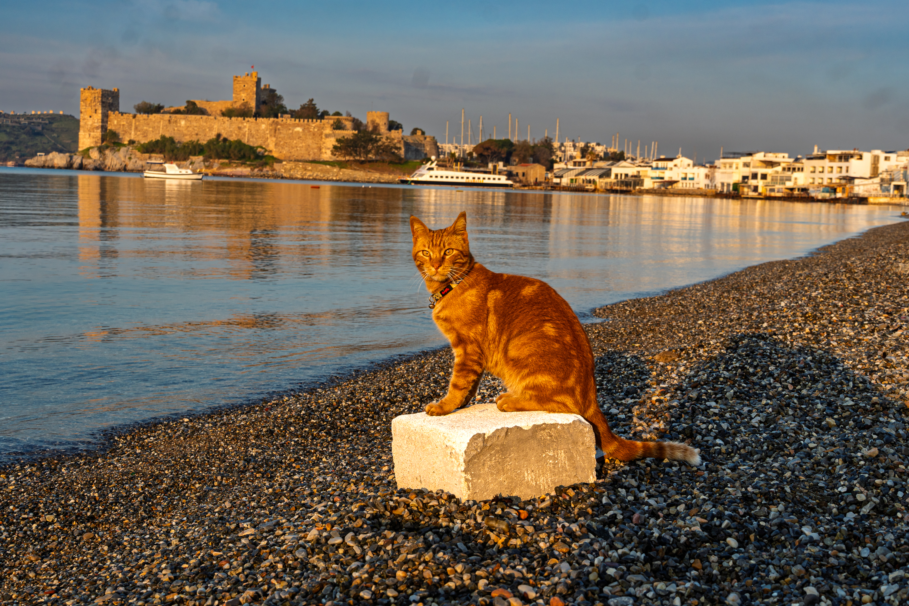 Bodrum