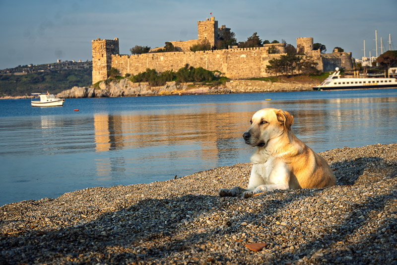Bodrum