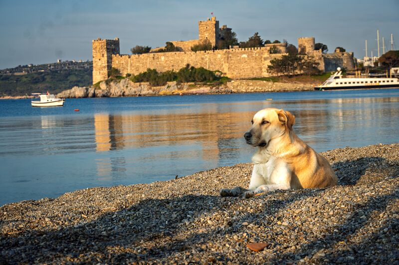 Bodrum